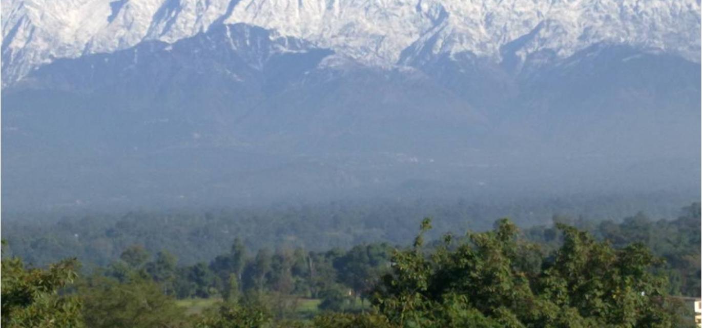 Home Kangra